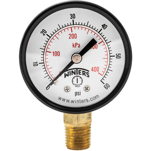 Economy Pressure Gauge, 2" , 0 - 60 psi, Bottom Mount, Analogue Equipment World