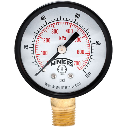 Economy Pressure Gauge, 2" , 0 - 100 psi, Bottom Mount, Analogue Equipment World
