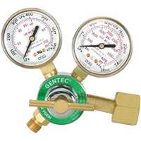 Light-Duty Single Stage Regulator, Oxygen, CGA540 Inlet Equipment World