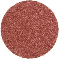 Non-Woven Lock Back Discs