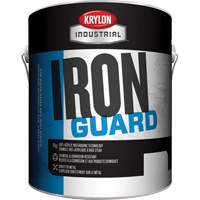 Industrial Iron Guard&reg; Water-Based Enamel, 3.78 L, Gallon, Red Equipment World