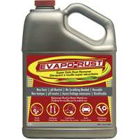 Evapo-Rust&reg; Super Safe Rust Remover, Jug Equipment World