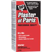 Plaster of Paris Dry Mix, 2 kg, Box Equipment World