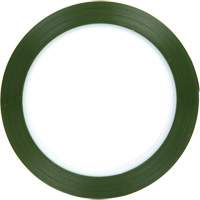 Polyester Tape, Polyester, 25.4 mm (1") W x 66 m (216') L, 1.9 mils Thick Equipment World