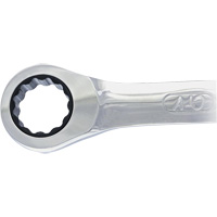 Non-Reversing Ratcheting Combination Wrench Equipment World
