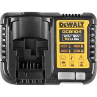 Battery Charger, 20 V, Lithium-Ion Equipment World