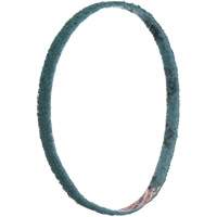 Courroies de traitement des surfaces Scotch-Brite Equipment World