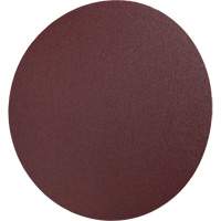 PSA Cloth Disc 248D, 12" Dia., 36 Grit, Aluminum Oxide Equipment World