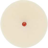 Disque pour enlever les bandes et les adh&eacute;sifs pour moulures Scotch-Brite, 4" dia. Equipment World