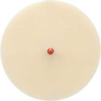 Disque Scotch-Brite 7502 pour retrait de colle et de bandes de moulage, 6" dia. Equipment World