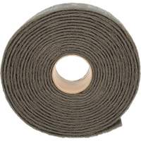 Ruban de nettoyage et de finition Scotch-Brite, Tr&egrave;s fin, 4" la x 30' lo Equipment World