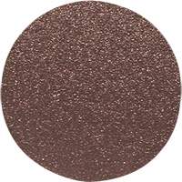 Disque de ponçage pour le bois, 12" dia., Grain 60 Equipment World