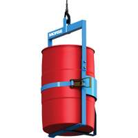 Below-Hook Drum Lifter, 1000 lbs./454 kg Cap. DA935 | Equipment World