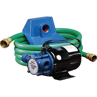 Non-Submersible, Self-Priming Plated Brass Transfer Pumps, 115 V, 360 GPH, 1/10 HP Equipment World