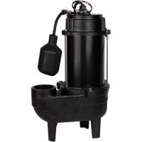 Cast Iron Sewage Pump, 120 V, 9.5 A, 6000 GPH, 1/2 HP Equipment World