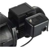 Dual Voltage Cast Iron Shallow Well Jet Pump, 115 V/230 V, 1100 GPH, 1 HP DC853 | Equipment World