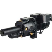 Dual Voltage Cast Iron Convertible Jet Pump, 115 V/230 V, 1100 GPH, 1/2 HP DC855 | Equipment World