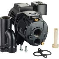 Dual Voltage Cast Iron Convertible Jet Pump, 115 V/230 V, 1100 GPH, 1/2 HP DC855 | Equipment World