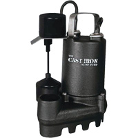 Cast Iron Submersible Sump Pump with Vertical Float Switch, 67 GPM, 33 V, 5 A, 1/3 HP DC863 | Equipment World
