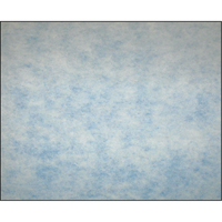 High-Arrestance Synthetic Media Filters, Pad, MERV 5, 24" W x 2" D x 12" H Equipment World