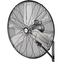 Oscillating Wall Fan, Industrial, 2 Speed, 30" Diameter Equipment World