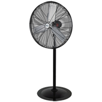 Oscillating Pedestal Fan, Heavy-Duty, 3 Speed, 30" Diameter Equipment World