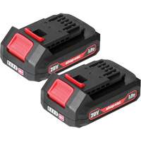 2.0Ah Lithium Battery - 2 Pack, 20 V Equipment World
