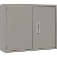 Armoire murale, Acier, 2 Tablettes, 30" h x 36" la x 12" P, Gris Equipment World