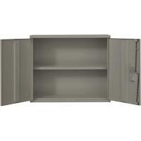 Armoire murale, Acier, 2 Tablettes, 30" h x 36" la x 12" P, Gris Equipment World