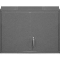 Wall-Mounted Cabinet, 27" H x 29-7/8" W x 13-11/16" D, 2 Shelves, Steel, Grey Equipment World