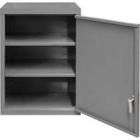 Wall-Mounted Cabinet, 27" H x 13-11/16" W x 18" D, 2 Shelves, Steel, Grey Equipment World