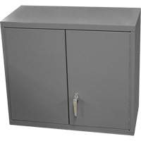 Wall-Mounted Cabinet, 27" H x 13-11/16" W x 35-7/8" D, 2 Shelves, Steel, Grey Equipment World