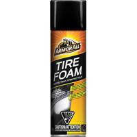 Tire Foam&reg; Protectant Equipment World
