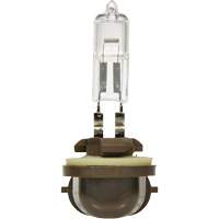 886 Basic Fog Light Bulb, Halogen, 50 W, Off White Equipment World