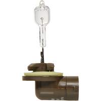 886 Basic Fog Light Bulb, Halogen, 50 W, Off White Equipment World