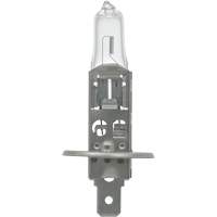 64155 Basic Automotive Bulb, Halogen, 78 W, Off White Equipment World