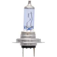 H7 SilverStar&reg; zXe Headlight Bulb, Halogen/HID, 56 W, White Equipment World