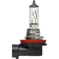 H8 Basic Headlight Bulb, Halogen, 35 W, Off White Equipment World