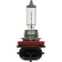 H8 Basic Headlight Bulb, Halogen, 35 W, Off White Equipment World