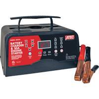 Chargeurs de batterie de voiture