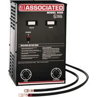 Chargeur de batterie parall&egrave;le &agrave; haute performance Equipment World