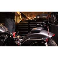 Chargeur de batterie 10 A Genius 10 Equipment World