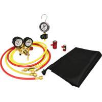 Automotive A/C Nitrogen Leak Test Kit with Regulator Equipment World