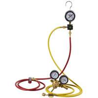 Automotive A/C Nitrogen Leak Test Kit with Regulator Equipment World