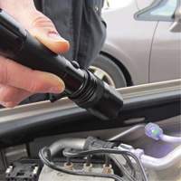 Rechargeable UV Flashlight Equipment World