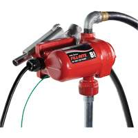 12V DC Fuel Transfer Pump with Nozzle Equipment World
