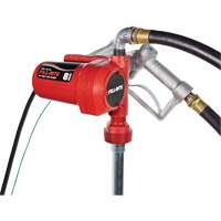 12V DC Fuel Transfer Pump with Nozzle Equipment World