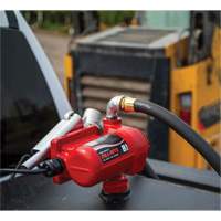 12V DC Fuel Transfer Pump with Nozzle Equipment World