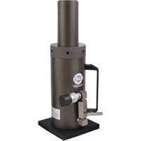 Safety Locking Collar Jack, 6" Stroke, 50 Ton(s) Capacity, 10000 PSI Equipment World