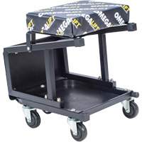2-in-1 Seat-Stool Combo Equipment World